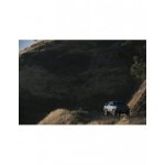 Peak Design Mobile Car Mount VHB - Magnetyczny Uchwyt Samochodowy Do Telefonu - Czarny